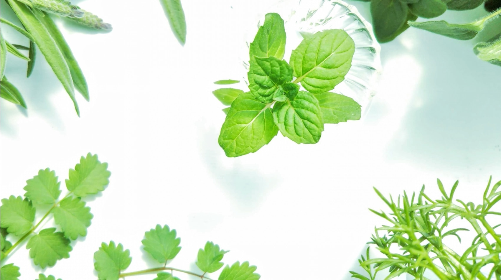 ココロとカラダにやさしい健康食品をお届け